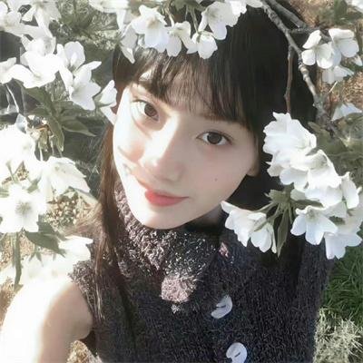 步步高升